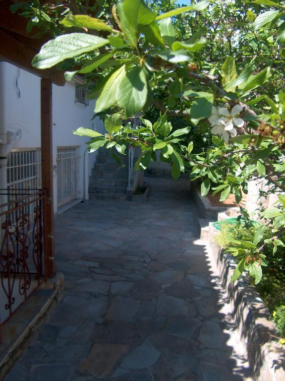Athenian Spiti Villa Artemida  Phòng bức ảnh